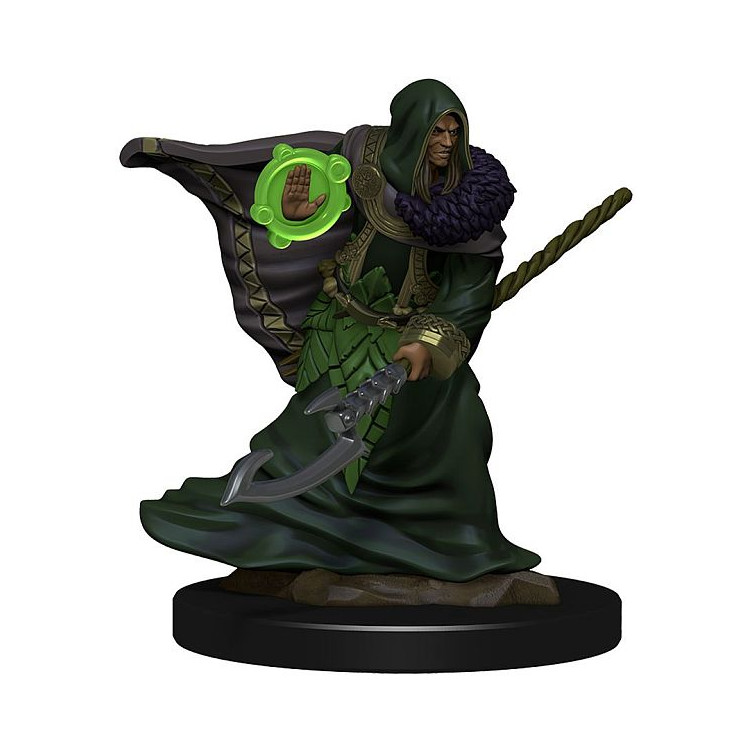 D&D Icons of the Realms Premium Figures: Elf Druid Male