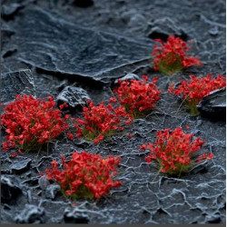 Red Flowers