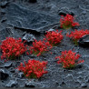 Red Flowers