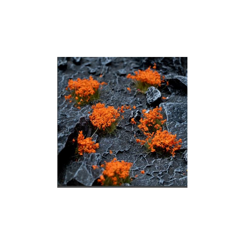 Orange Flowers