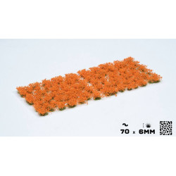 Orange Flowers