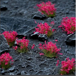 Pink Flowers