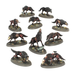 Soulblight Gravelords: Dire Wolves