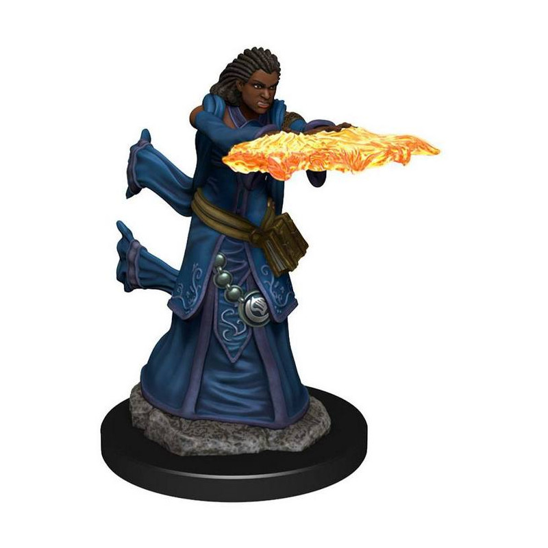 D&D Icons of the Realms: Human Wizard Female