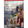 Arqueología e Historia 35. La Peste Negra