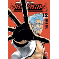 Bleach Maximum 12