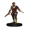 D&D Icons of the Realms: Human Rogue Male