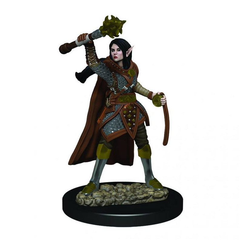 D&D Icons of the Realms: Female Elf Cleric