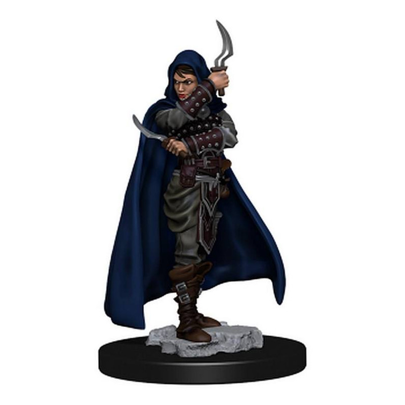 Pathfinder Battles: Human Rogue Female