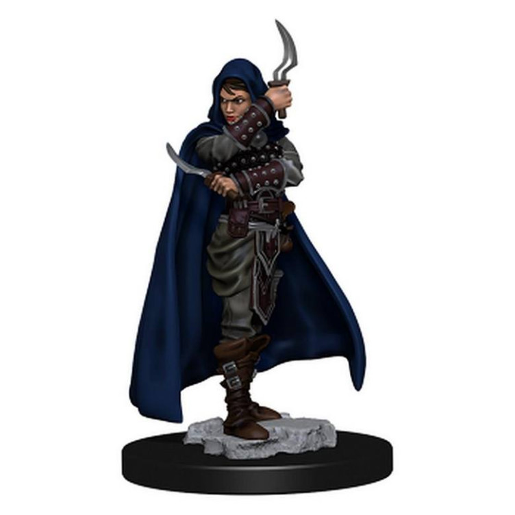 Pathfinder Battles: Human Rogue Female