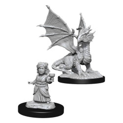 D&D Nolzur's Marvelous - Silver Dragon Wyrmling & Female Halflin