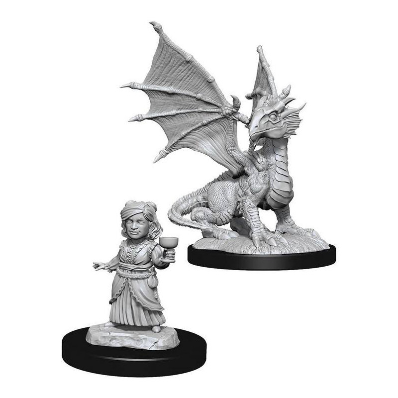 D&D Nolzur's Marvelous - Silver Dragon Wyrmling & Female Halflin