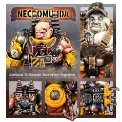 Necromunda: Jotunn H-Grade Servitor Ogryns