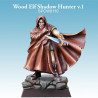 Wood Elf Shadow Hunter v.1