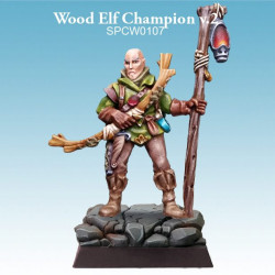 Wood Elf Champion v.2