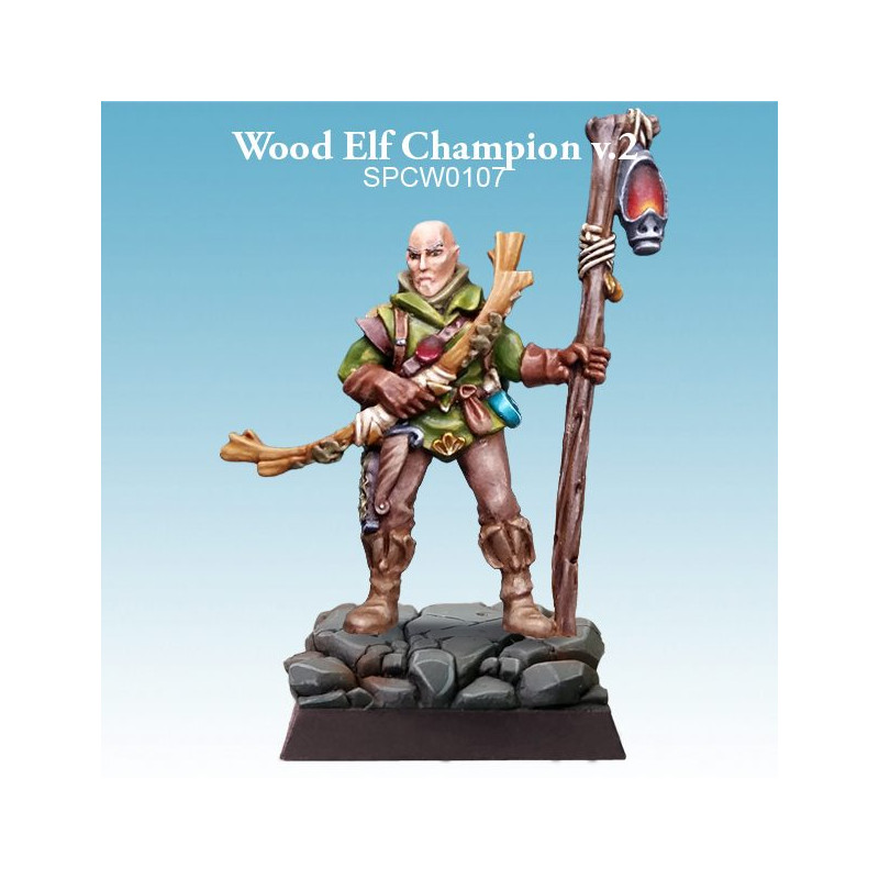 Wood Elf Champion v.2