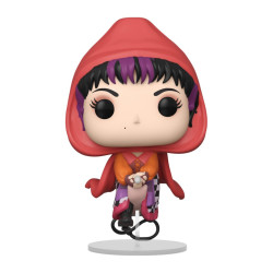 Hocus Pocus POP! Mary Flying