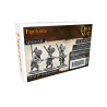 Light Infantry (12 models spears/crossbows)