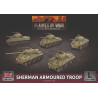 Sherman Armoured Troop (x5 Plastic)