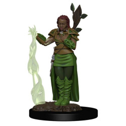 D&D: Human Female Druid