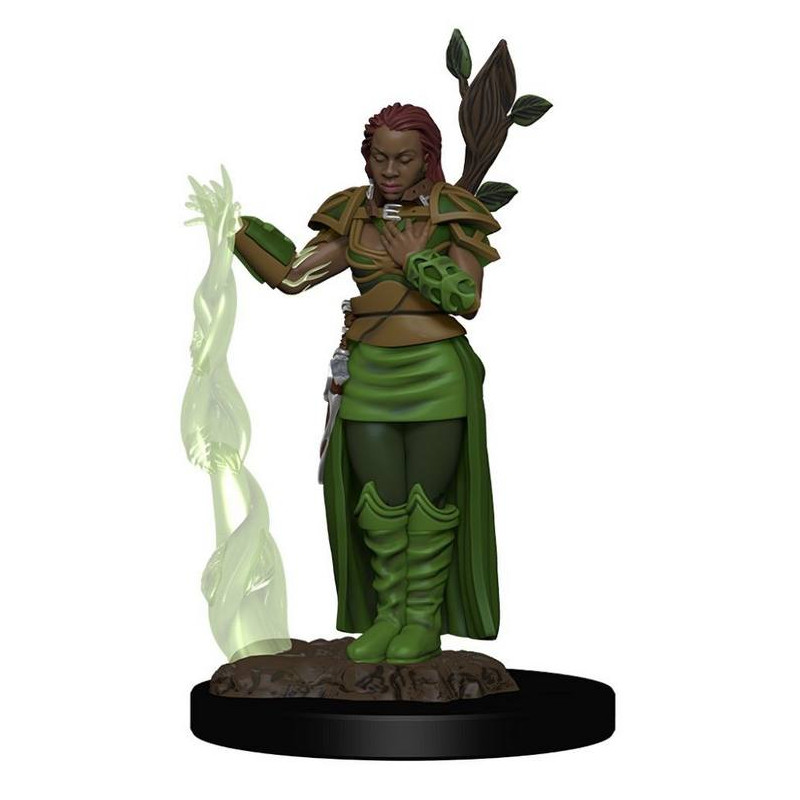 D&D: Human Female Druid