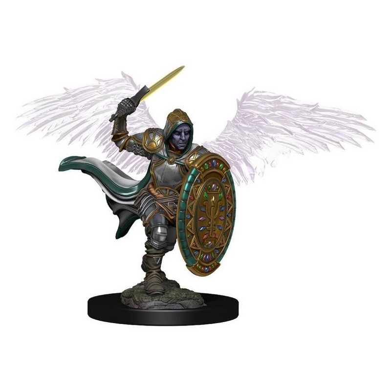 D&D: Aasimar Male Paladin