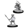 Pathfinder Battles Deep Cuts Hobgoblin