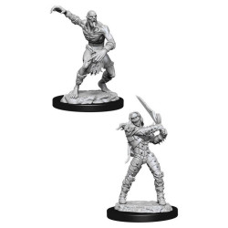 D&D Nolzur's Marvelous: Wight & Ghast