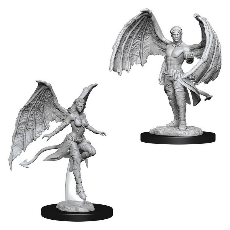 D&D Nolzur's Marvelous: Succubus & Incubus