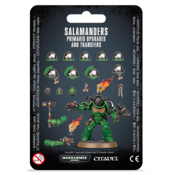 Mejoras y calcomanías de Salamanders Primaris