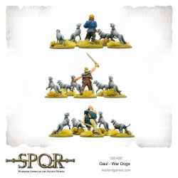 SPQR: Gaul War Dogs