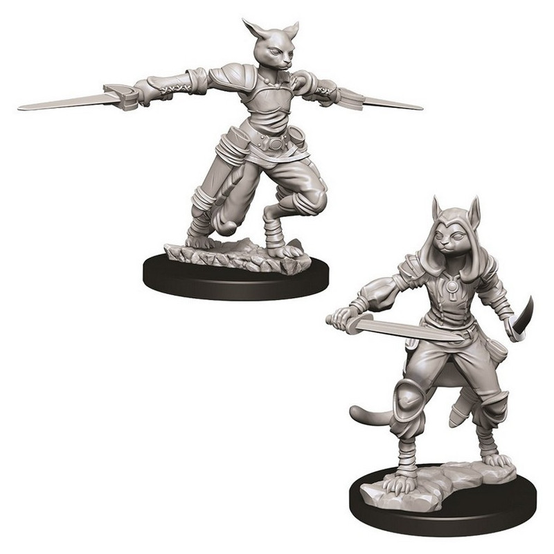 Female Tabaxi Rogue D&D Nolzur's Marvelous