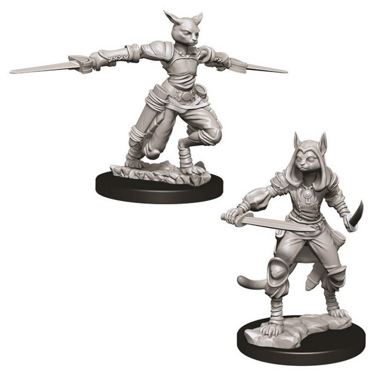 Female Tabaxi Rogue D&D Nolzur's Marvelous