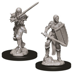 Female Human Fighter D&D Nolzur's Marvelous