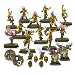 Blood Bowl: The Athelorn Avengers