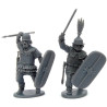 Gallic Armoured Warriors (30)