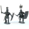 Gallic Armoured Warriors (30)