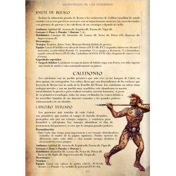 Savage Worlds: Guía del Director de Bestias y Bárbaros