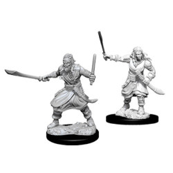 Bandits: D&D Nolzur's Marvelous