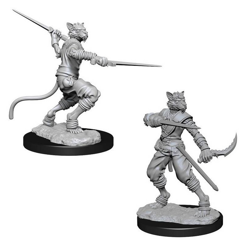 Male Tabaxi Rogue: D&D Nolzur's Marvelous