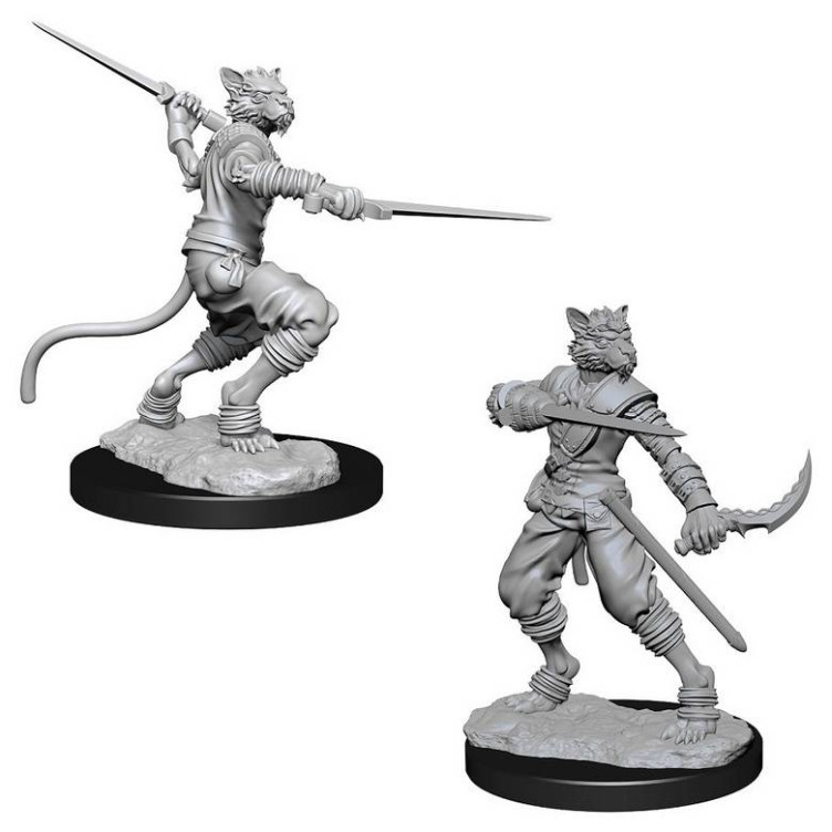 Male Tabaxi Rogue: D&D Nolzur's Marvelous