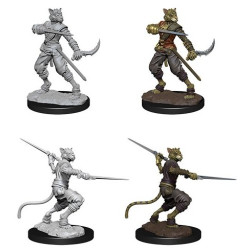 Male Tabaxi Rogue: D&D Nolzur's Marvelous