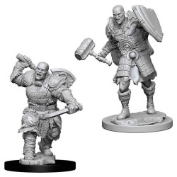 Male Goliath Fighter: D&D Nolzur's Marvelous