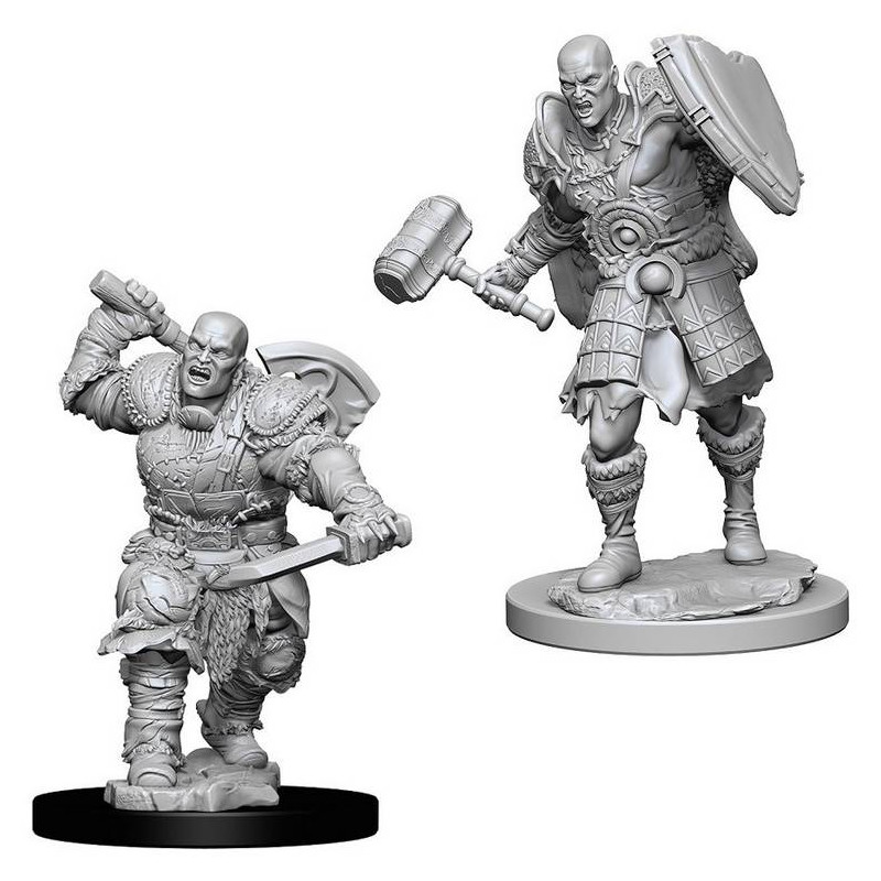 Male Goliath Fighter: D&D Nolzur's Marvelous