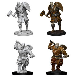 Male Goliath Fighter: D&D Nolzur's Marvelous