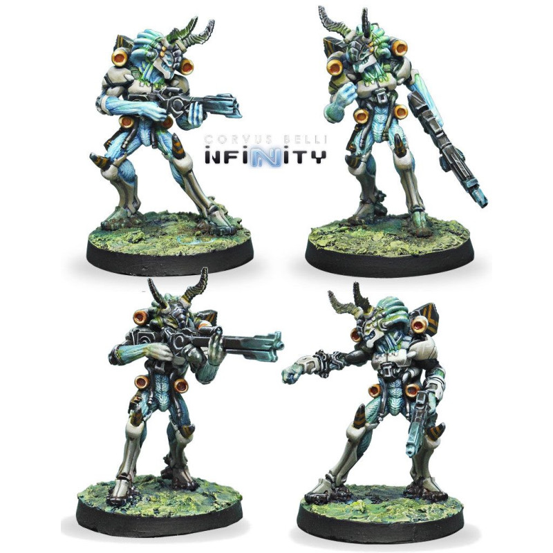 Kaauri Sentinels