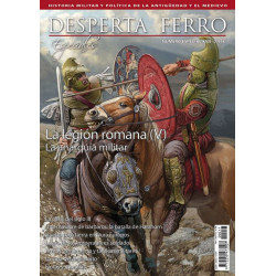 DF Especial XVII. La legión romana (V). La anarquía militar