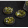 Highland Bases RoundLip 50mm (x3)