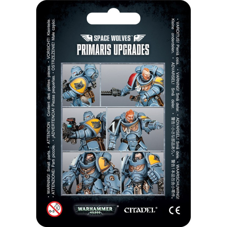 Space Wolves Primaris Upgrades