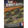 VAB Mephisto Anti Tank Platoon